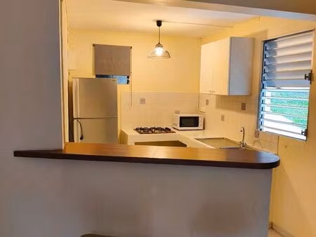 ? bas de villa t1 bis – pointe savane