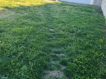 maison mitoyenne t3 avec jardin