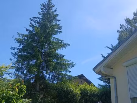 location meublée appartement 1 pièce 40 m² à collonges-sous-salève (74160)  1 150 €