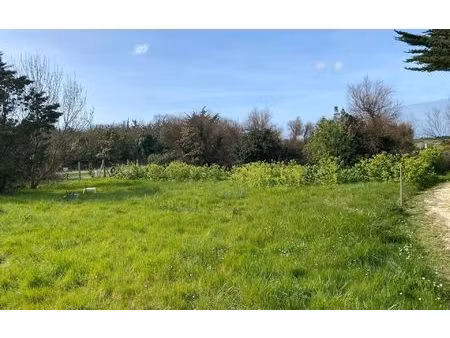 terrain saint-pierre-d'oléron m² t- à vendre  132 500 €