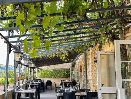 établissement emblématique multi-activités avec licence iv 