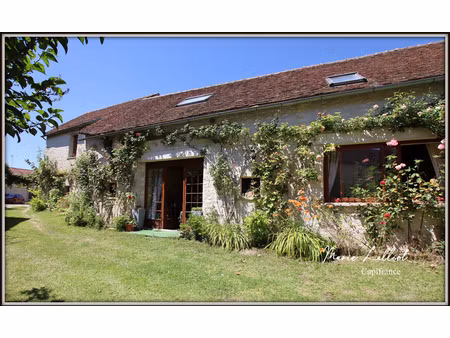 dpt (45) à vendre  maison 9p  puiseaux  178m² env.  caves  grange  dépendances  4 chambres