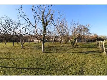 terrain constructible viabilisé à vendre