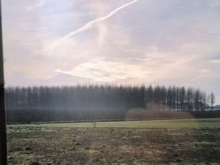 terrain 1337 m² montaulin