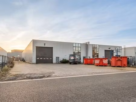 bien professionnel à vendre à overpelt (lm41y) - heylen vastgoed - lommel | zimmo