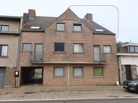 appartement à louer à wichelen € 700 (lm46i) - scaldis vastgoed | zimmo