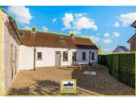 des sabots d'une grande beauté avec