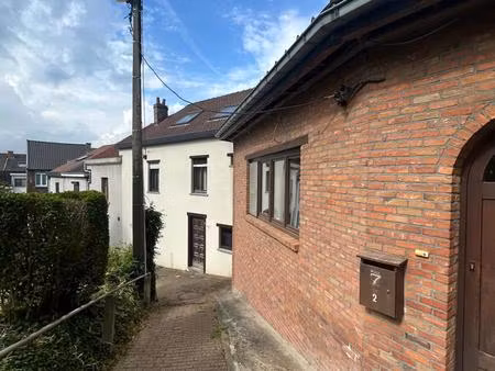 ruime woning met renovatie