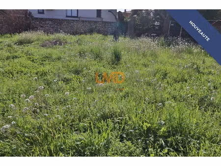 joli terrain plat 494m2