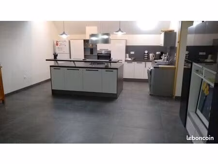 magnifique duplex de 176 m² avec jardin  grenier et fort potentiel - burgille