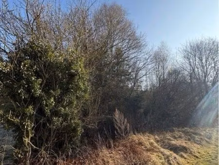 location bail de chasse à boves était loué pour bois à pigeon