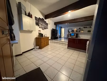 appartement 2 pièces plein centre