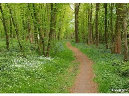 recherche location terrain boisé vienne