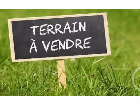 vente terrain à sainte-foy (85150) : à vendre / 4968m² sainte-foy