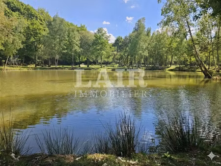 vente terrain à saint-léonard-des-bois (72130) : à vendre / 60m² saint-léonard-des-bois