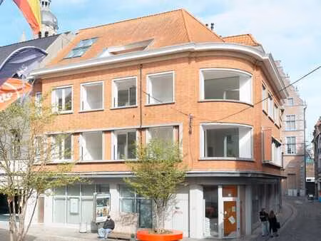 superbe appartement rénové en plein centre-ville