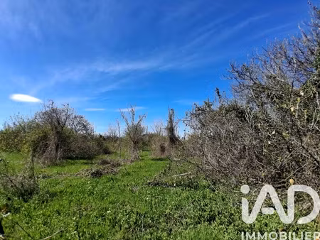 vente terrain 4 000 m²