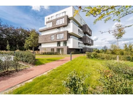 appartement te huur in lauwe met 2 slaapkamers