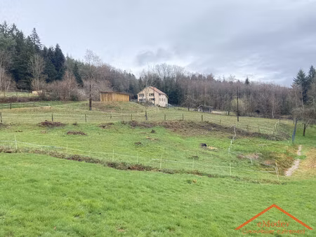 maison à vendre le bonhomme
