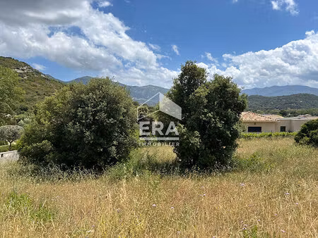 terrain 0 pièces 1493 m² à vendre / acheter oletta 20232 ? | era immobilier