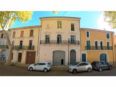 achat maison 6 pièces 242m² st thibery 34630