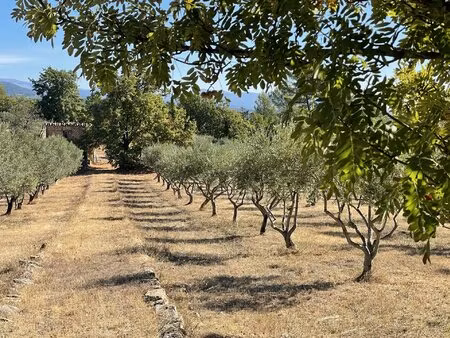 belle oliveraie (350 arbres) figanières avec cabanon et citerne