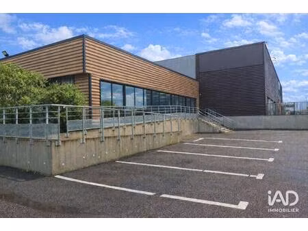 vente local d'activités 1 500 m²