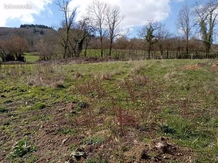 terrain 1 227 m² ferrieres sur sichon