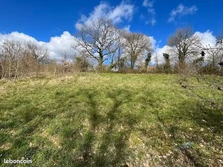 terrain 6 991 m² riberac