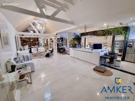 loft 6 pièces 229 m²