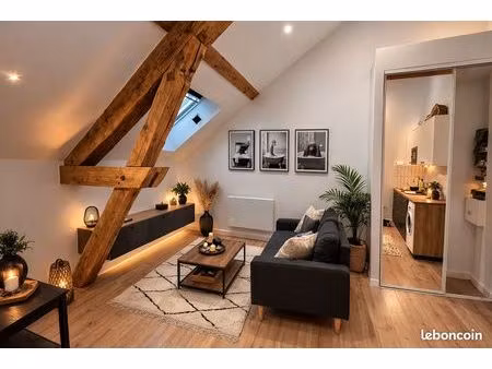 magnifique t1 meuble refait a neuf – calme et très lumineux