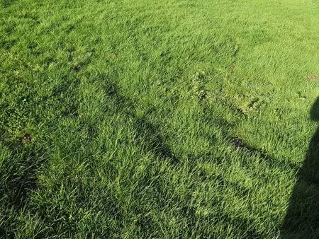 terrain 574 m² questembert