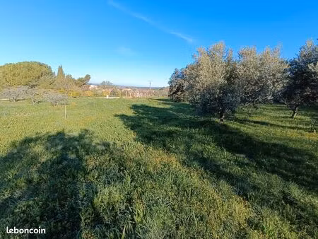 terrain constructible