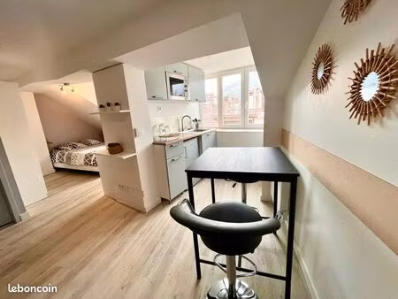 appartement type loft t1bis