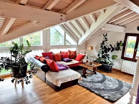 achat : maison (74550)