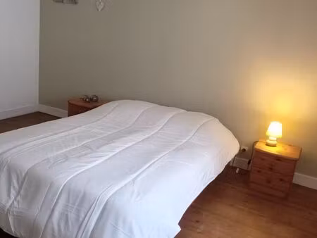 loue appartement type 2 centre ville chinon