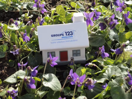 achat terrain 8 063m² diges 89240