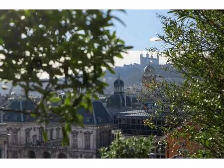 vente appartement 7 pièces 303 m² lyon 1 (69001)