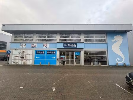 showroom met magazijn en kantoren in wijnegem