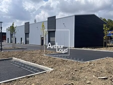 location commerce 154 m² à 831 m²