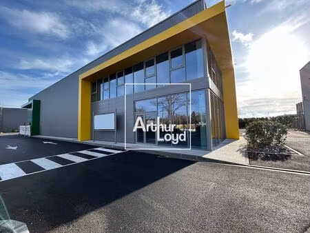 location local d'activités 122 m² à 537 m²