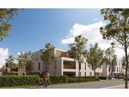 appartement te koop in maaseik met 2 slaapkamers