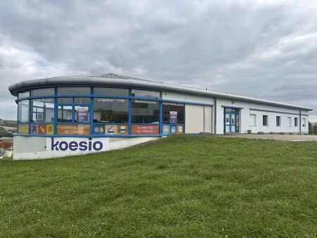 location local d’activités auxerre 89000 1323m²