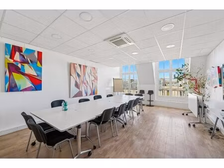 location local professionnel 234m²