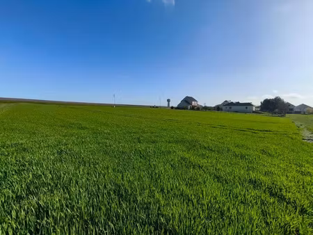annonce vente terrain terrain à vaudemange (51380) - paruvendu.fr ref 992785409434
