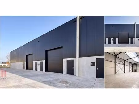 surface industrielle à louer à kalkenstraat 19 buggenhout (rbv47529)