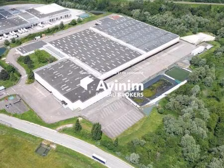 local d'activités à louer