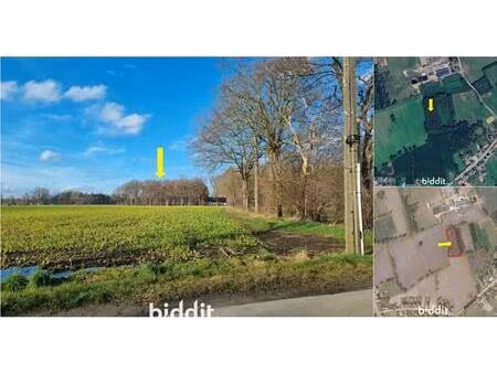 terrain en vente publique à heivoort olmen (rbv47379)