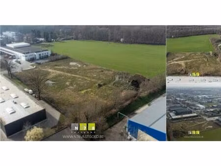 terrain industriel à vendre à schoorstraat maaseik (rbv47201)