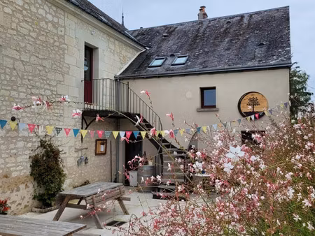 vente commerce 12 pièces 361 m² chinon (37500)